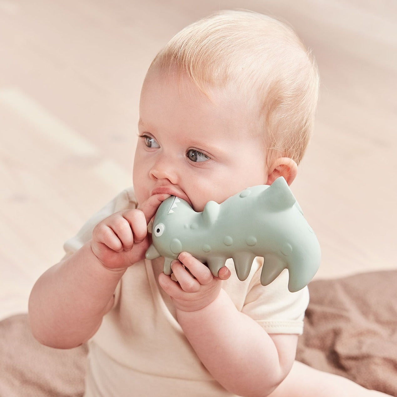 Theo Dino Teether